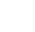 Fast Response Icon